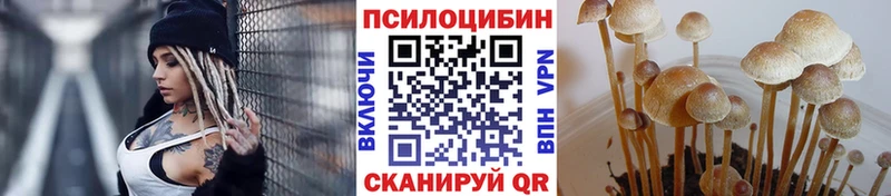 Галлюциногенные грибы мицелий  Купить закладки  Покров 